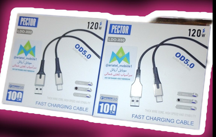 پکتور تایپسی اورجینال