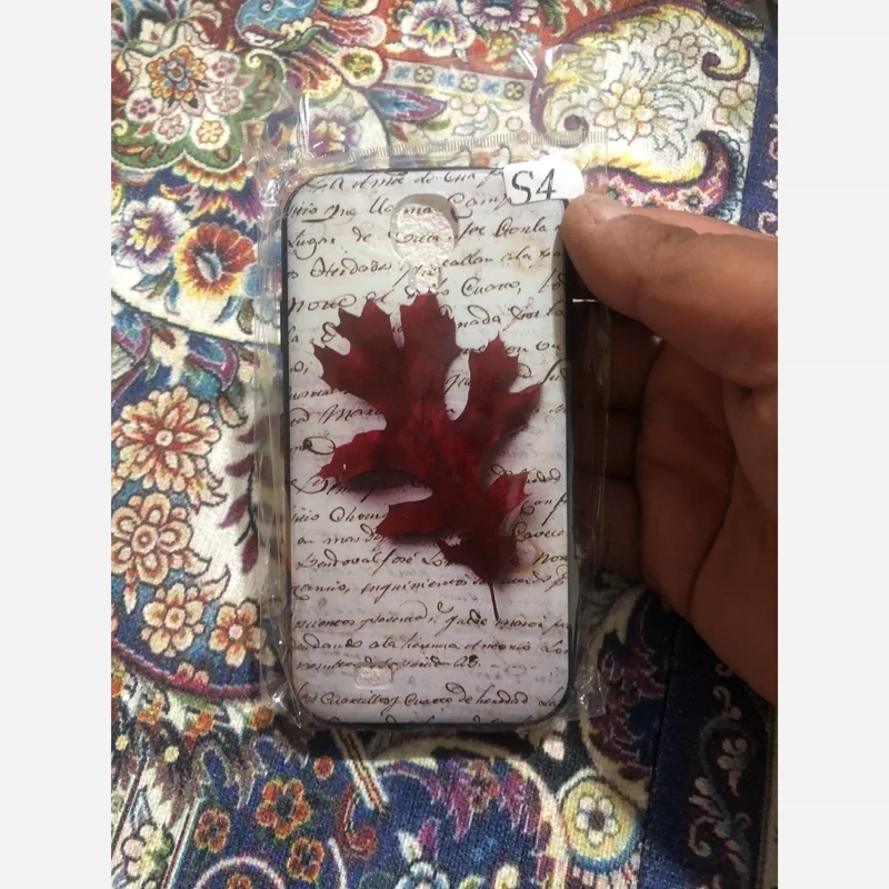 قاب S4 بیست و چهار
