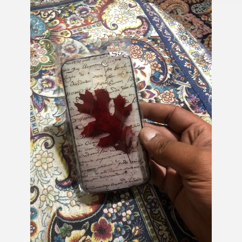 قاب S5 سیزده
