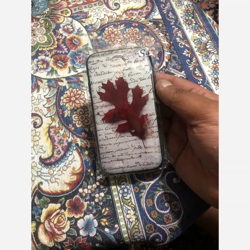 قاب S4 پانزده