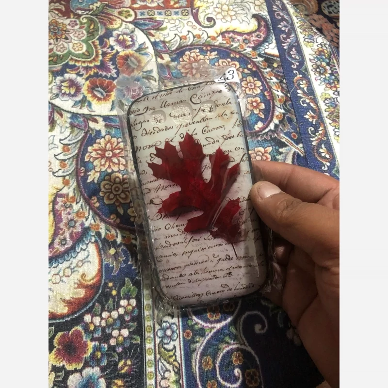 قاب S3 نوزده