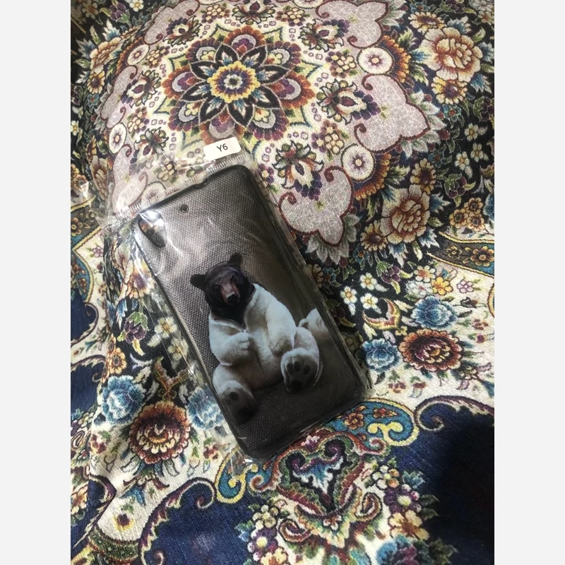 قاب Y6 نه